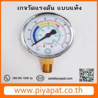 เกจวัดแรงดัน แบบแห้ง7